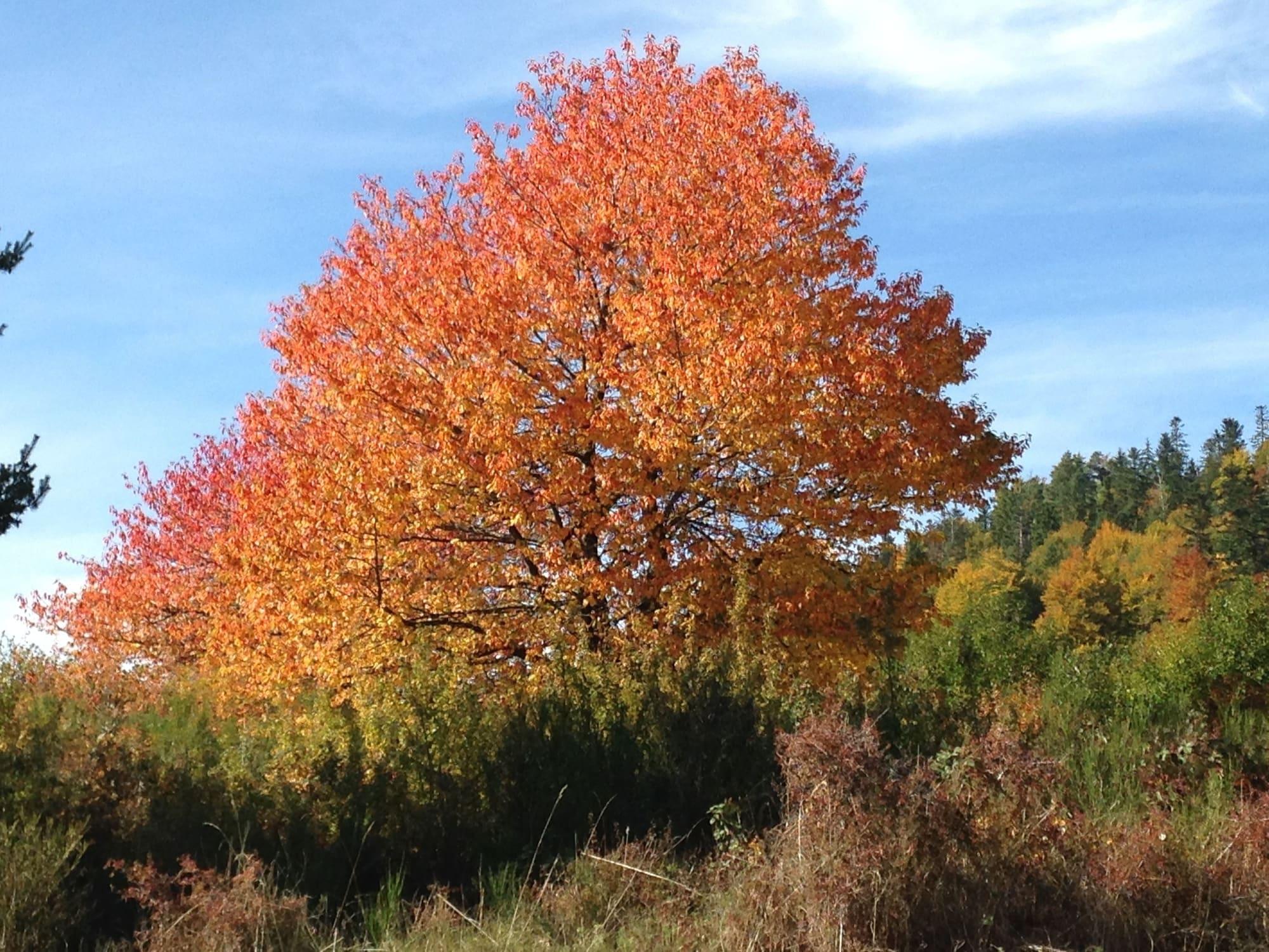 Vista Exterior Le Beau Cottage