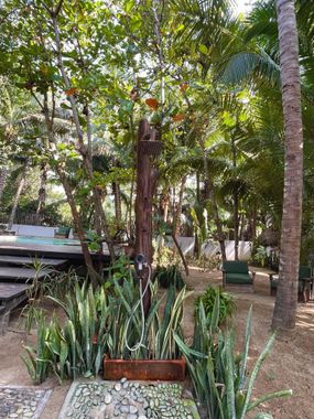 Hotel Descalzo - Hoteles pet friendly en Zipolite, Oaxaca