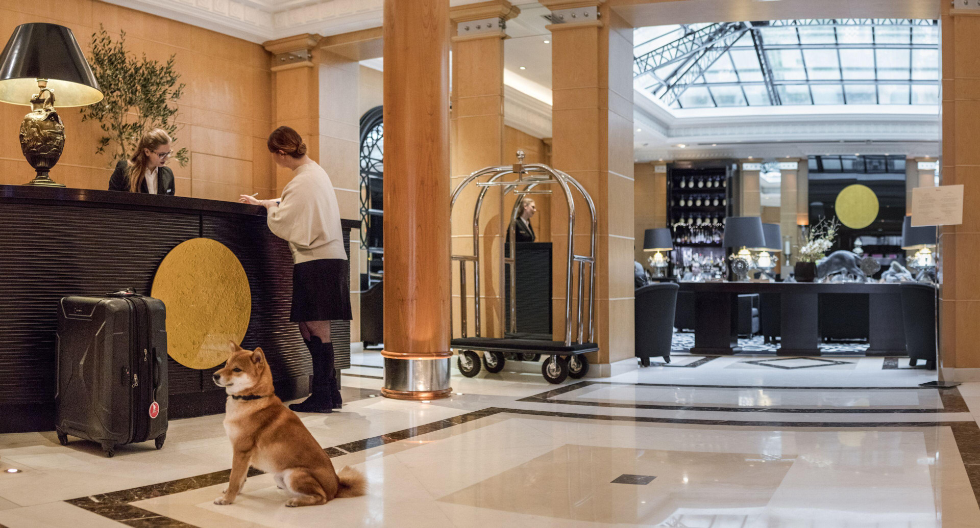 Vista Lobby Hyatt Paris Madeleine