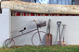 Alojamiento - Die Olyfhuis