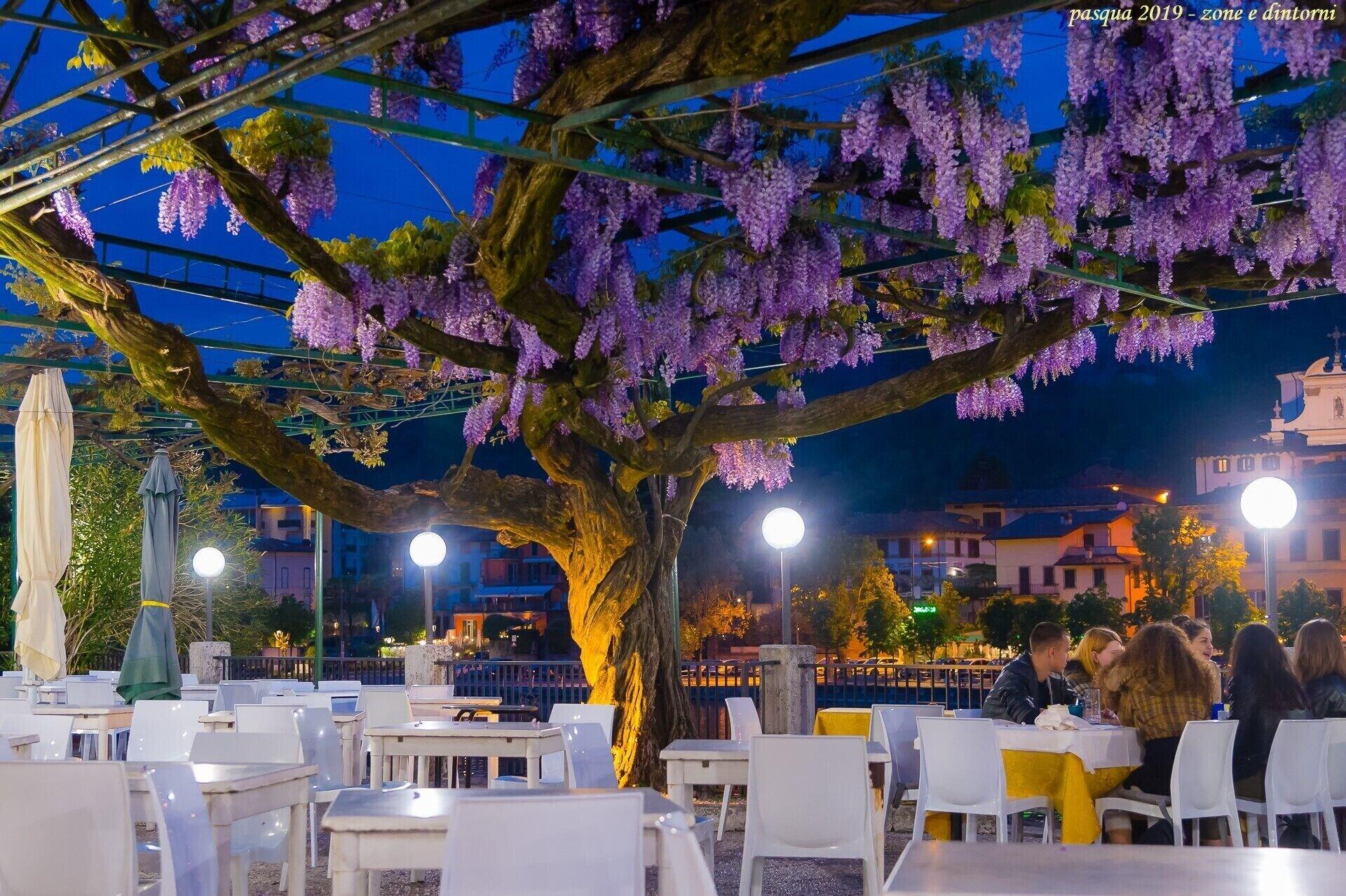 Restaurant Hotel Stazione sul lago di Iseo