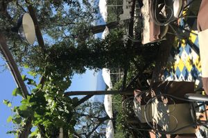 Alojamiento - Villa Pina Antico Francischiello