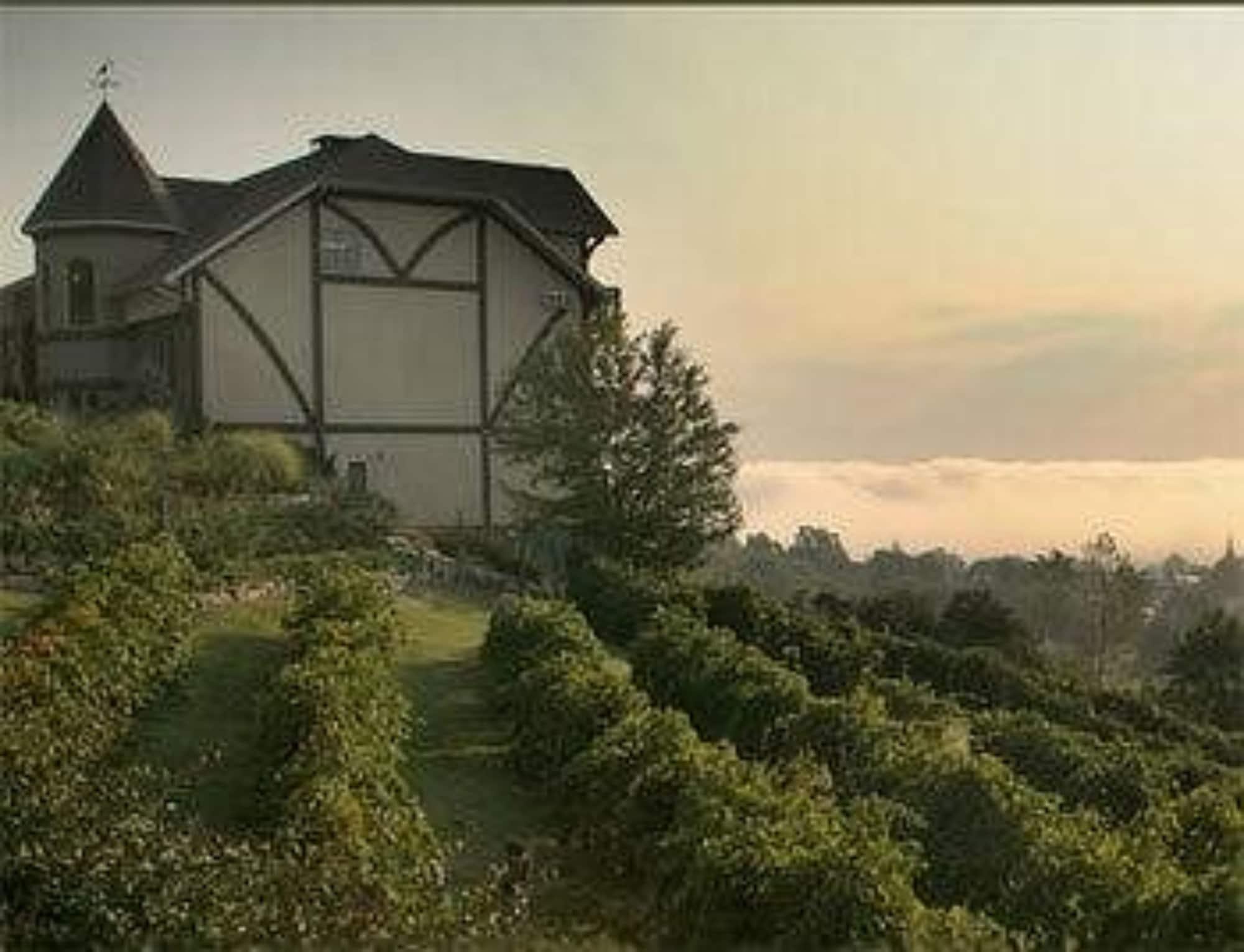 Vista Exterior Hermann Hill