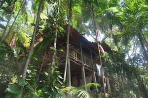 Paquete - Remo Hostel