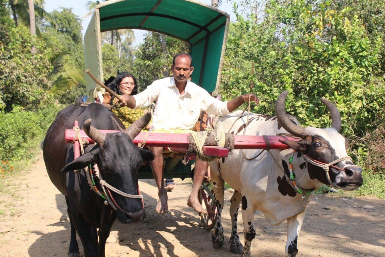 Varios Nivant Agro Experience