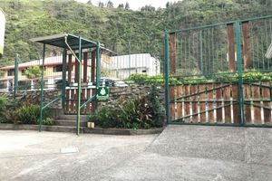 Alojamiento - La Casa Verde