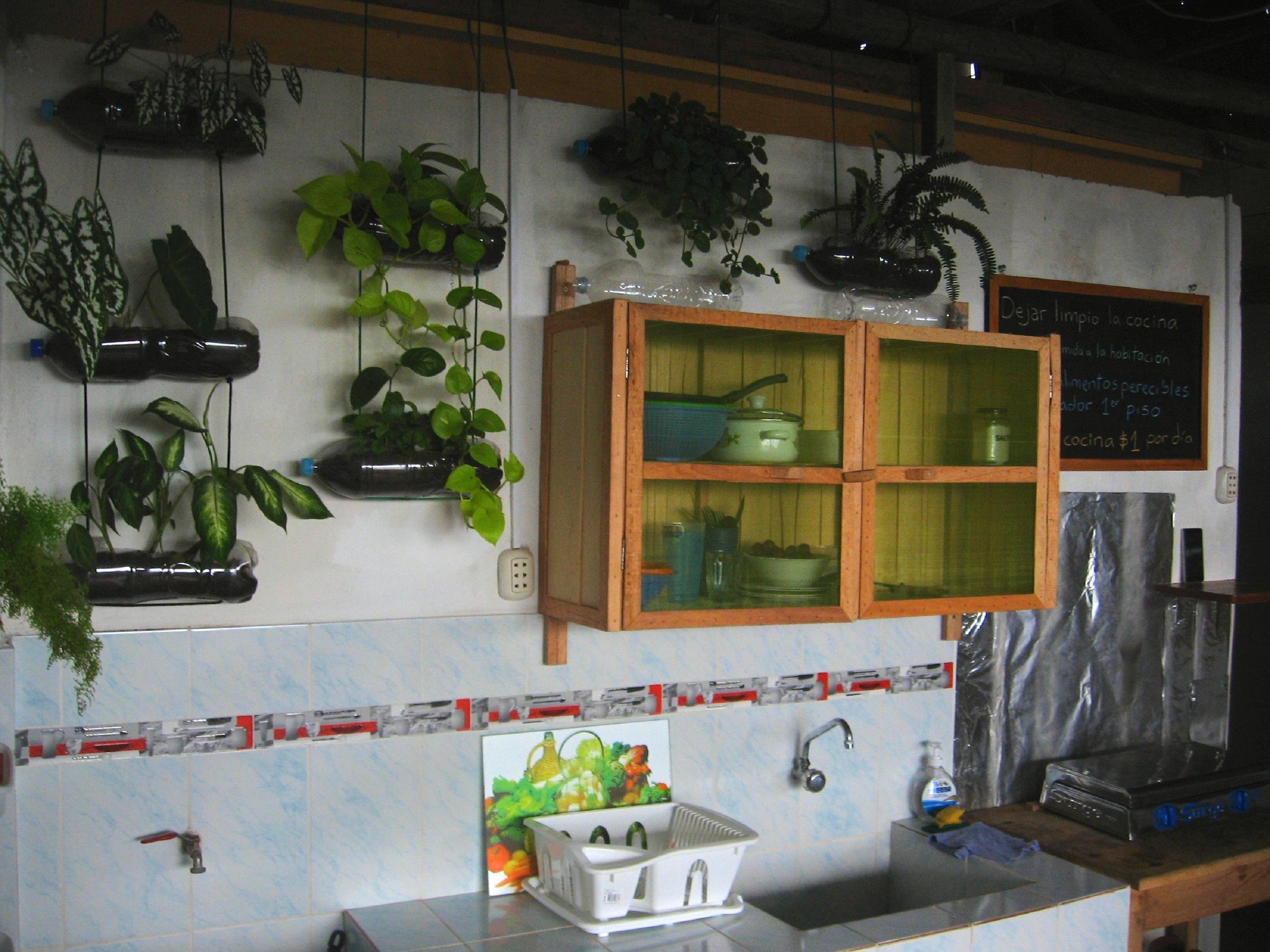 Instalaciones Recreativas Amazon House Hostel