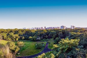 Passagem - Voos para Ribeirão Preto