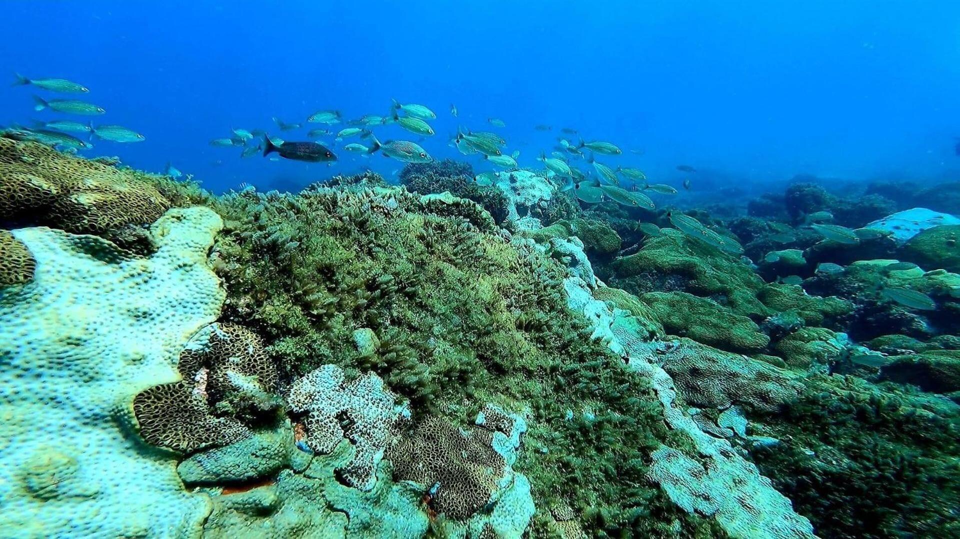 Vista Exterior Aquamaster Dive Pousada