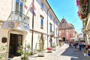 Alojamiento - Hotel Don Carlo 4S