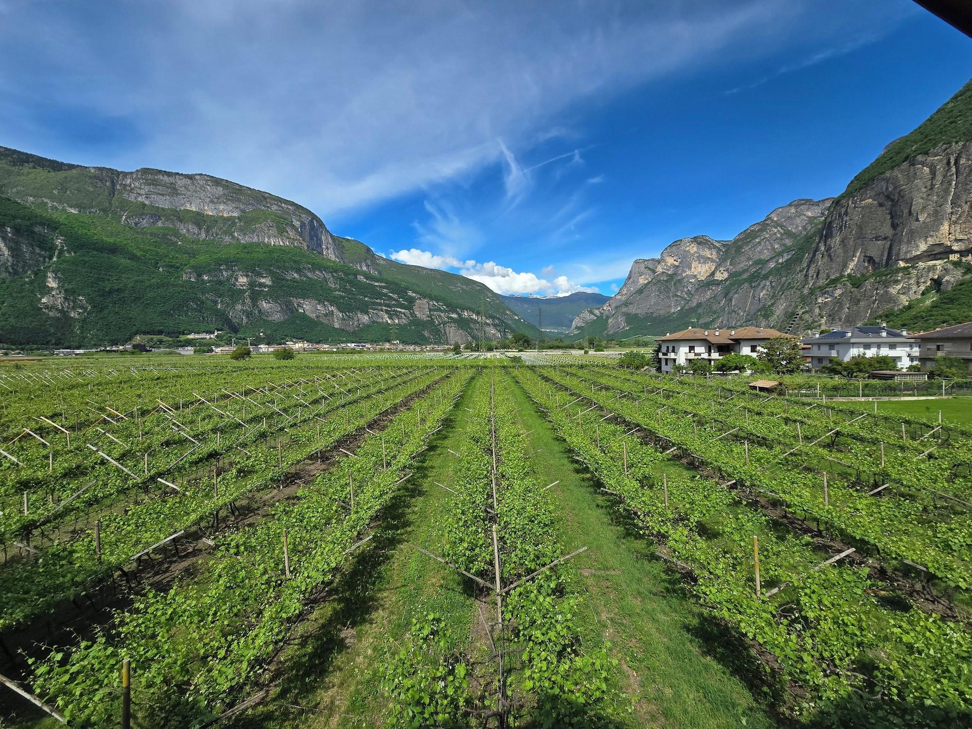 Comodidades del Alojamiento Antico Fienile Agritur