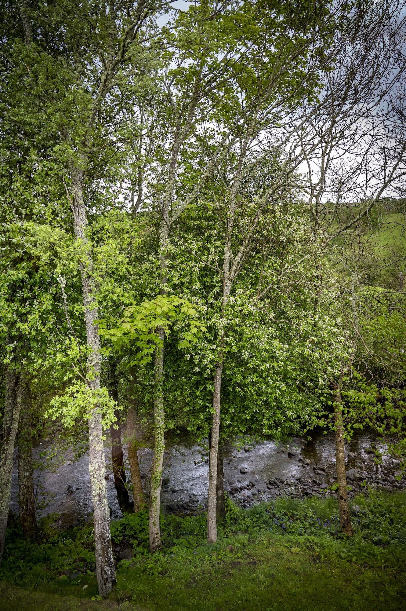 Comodidades del Alojamiento Loch Ness Bunk Inn