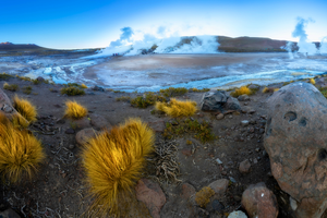 Actividad - Geyser del Tatio