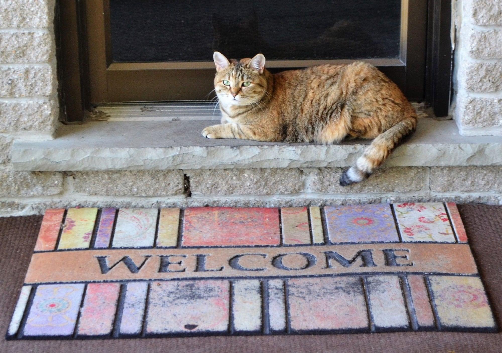 Vista Lobby Stratford Suburban Motel