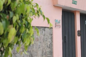 Alojamiento - Papucho's Guest House