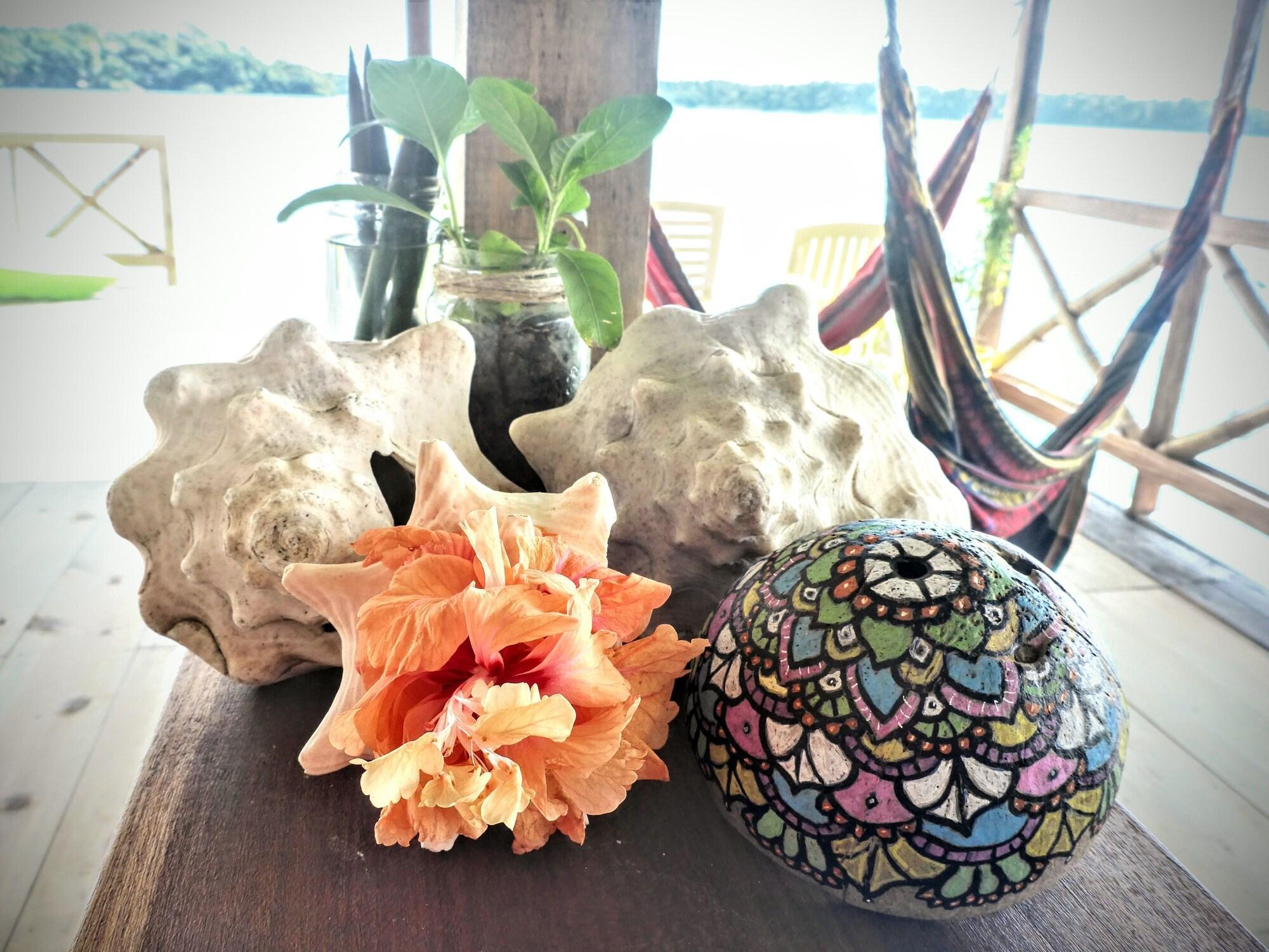 Vista Exterior El Jaguar