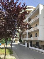 Alojamiento - Hotel Globo