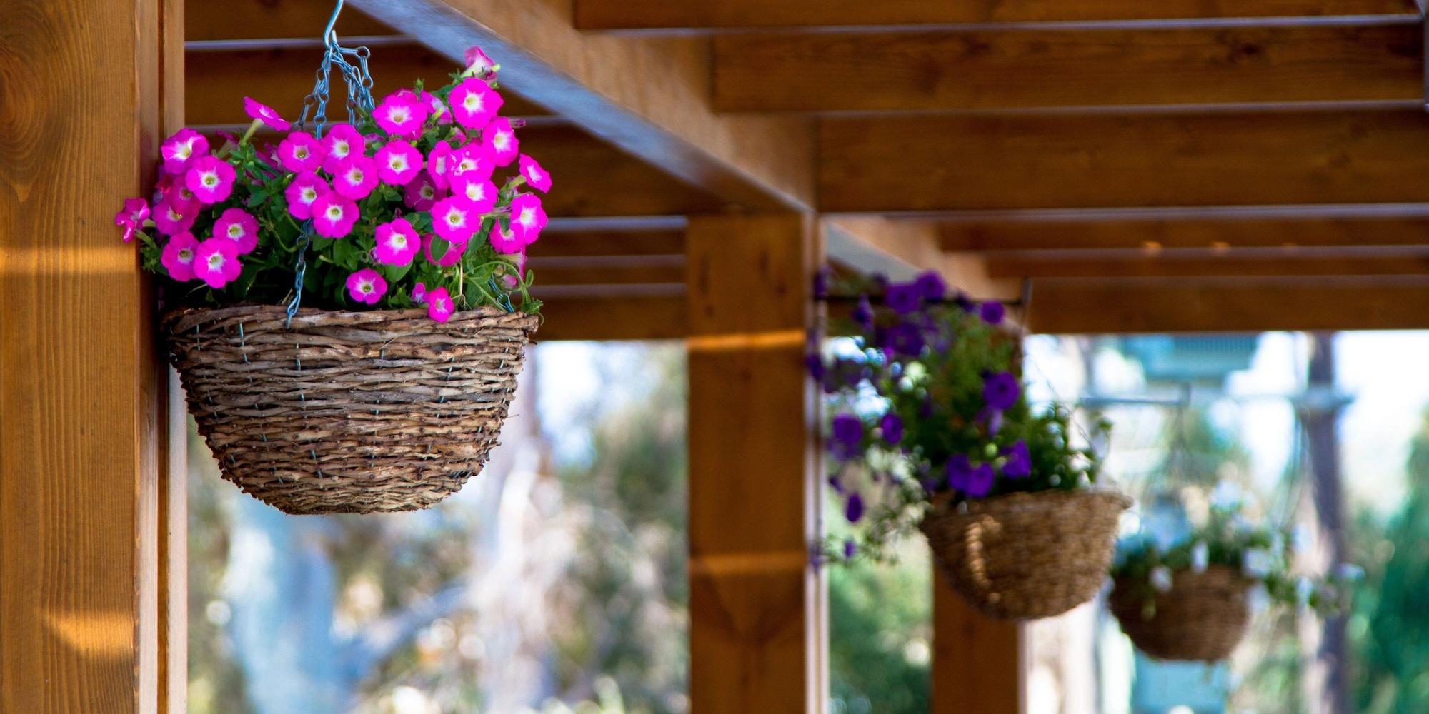 Vista Exterior Sun Palace Hotel - All inclusive