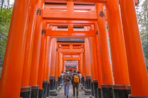 Actividad - Excursión por Kioto: Castillo Nijo, Bosque de Bambú, Pabellón Dorado y Fushimi Inari en autobús