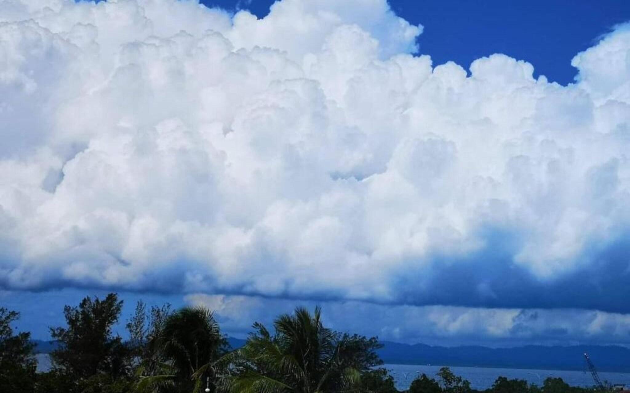 Playa City Garden Hotel