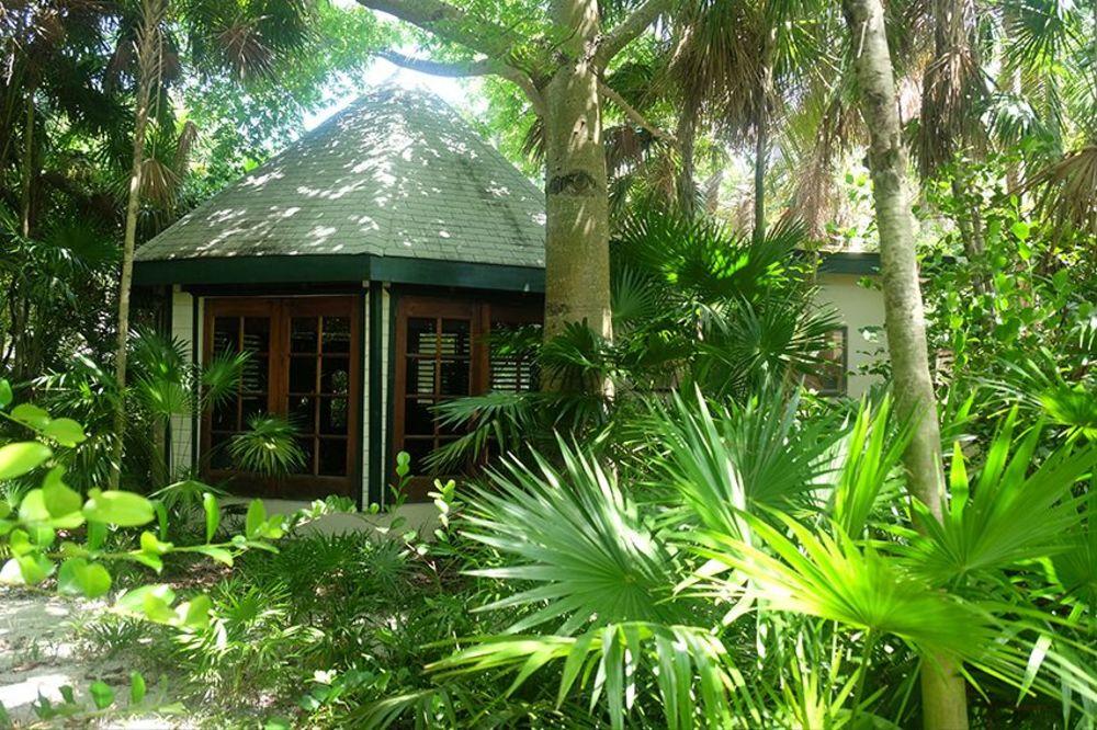 Comodidades del Alojamiento Jungle Cocoon