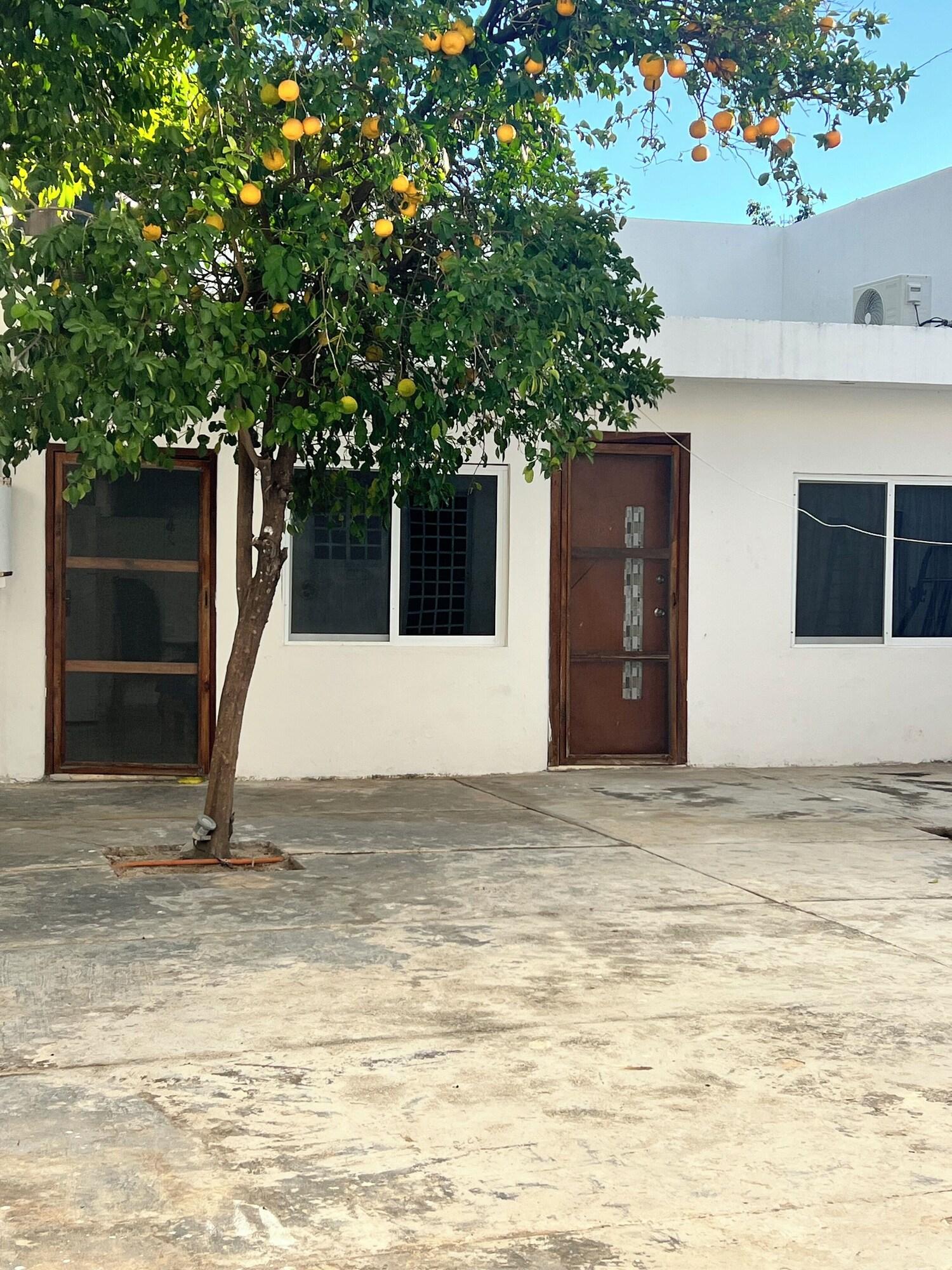 Varios HOSTAL MID GY