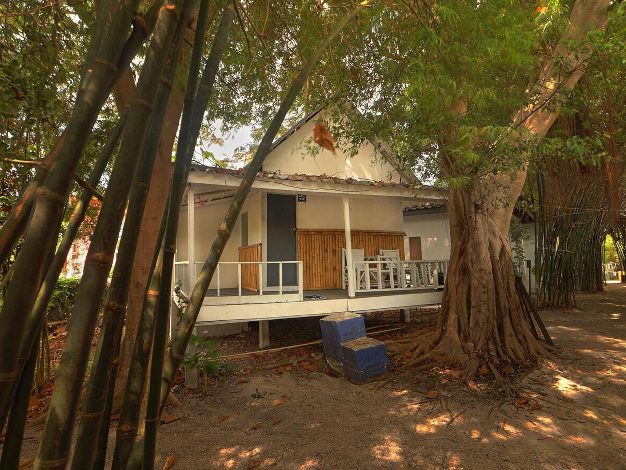 Vista Exterior Asia Blue - Beach Hostel Hacienda - Bed in 4-bed Dormitory Room