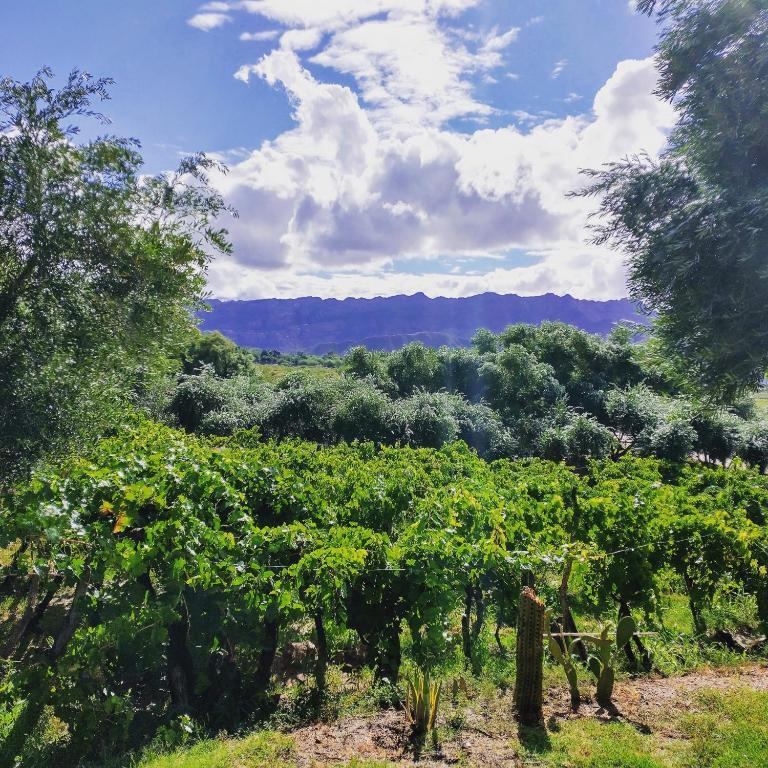 Vista a la montaña Munay EcoHostal