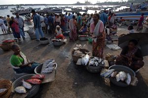 Passeio - Visita à Vila dos Pescadores de Vizhinjam