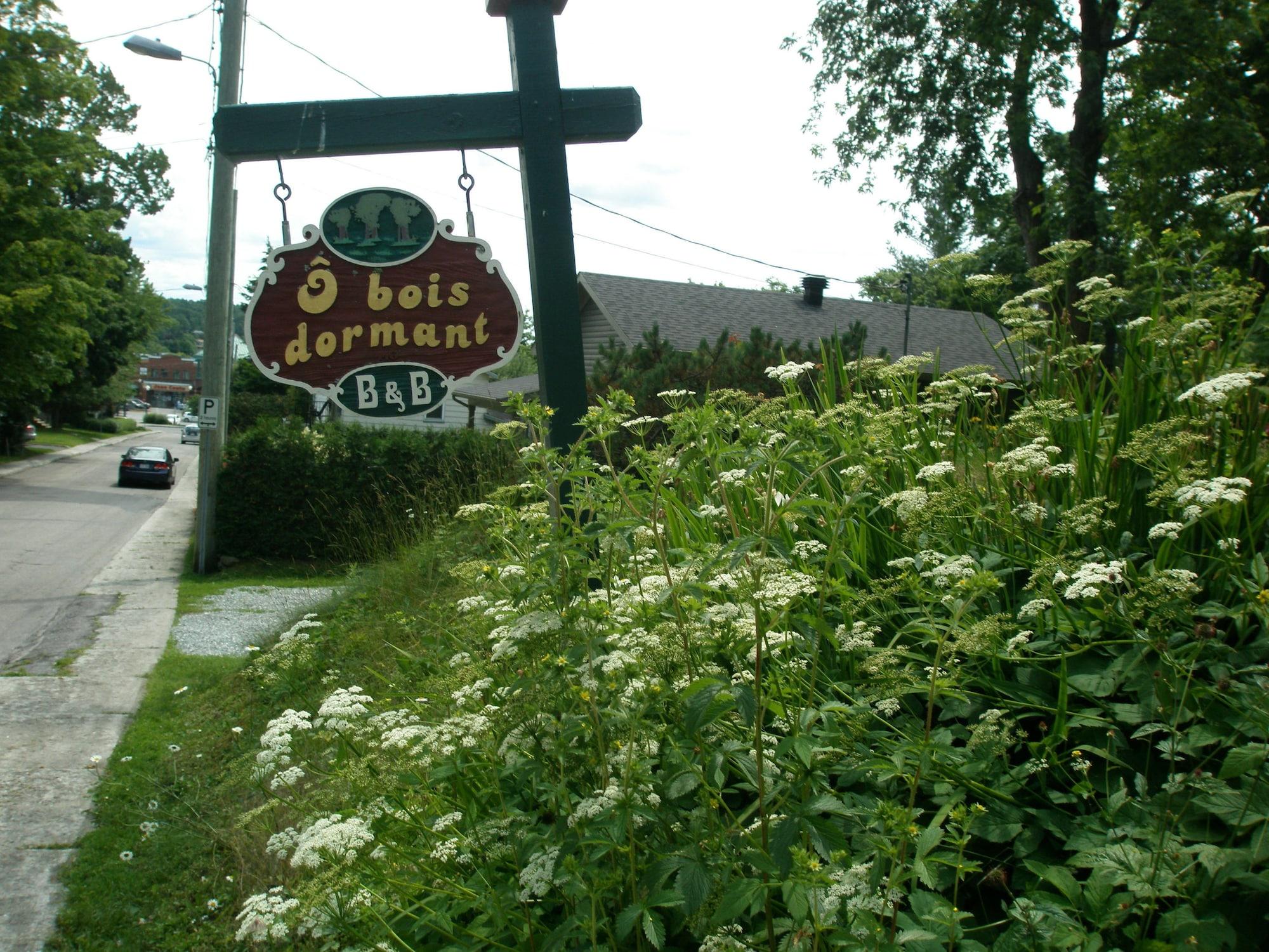 Vista Exterior Ô Bois Dormant