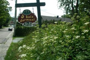 Alojamiento - Ô Bois Dormant