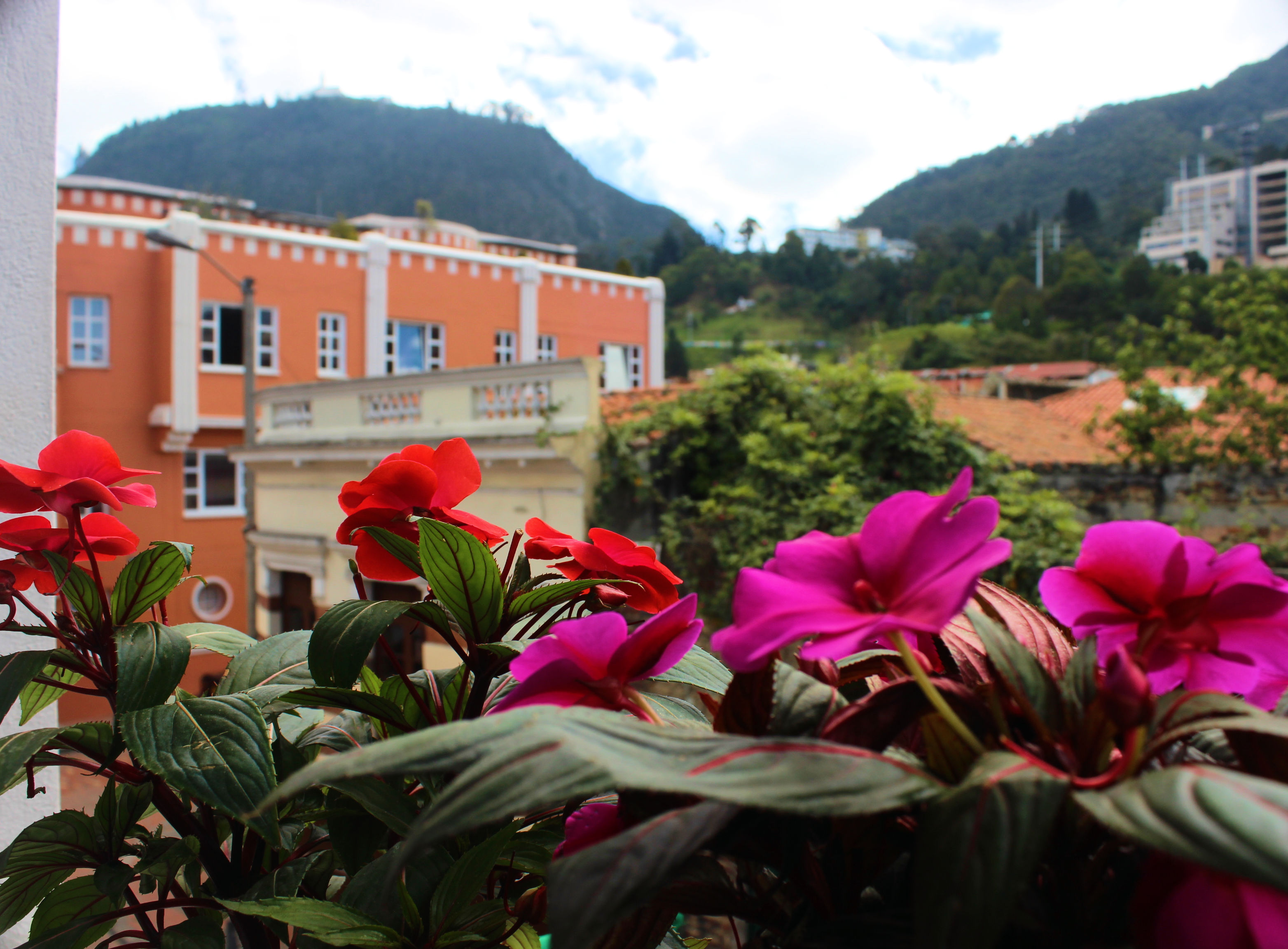 Varios Local Hostel