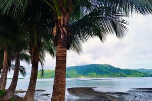 Alojamiento - Samoa del Sur