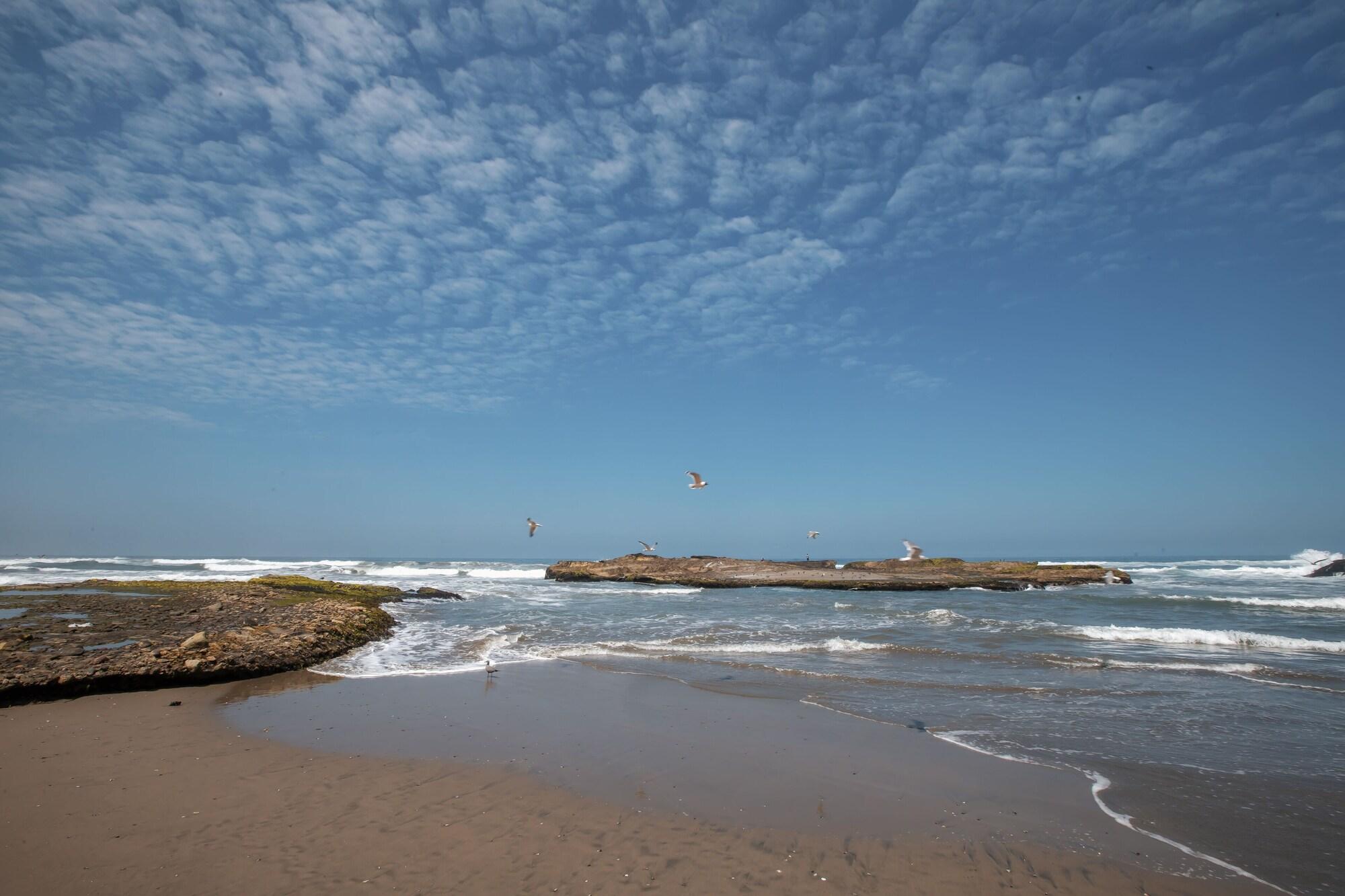 Playa DM Hoteles Asia