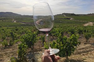 Actividad - Visita a dos bodegas y degustación de vinos de La Rioja