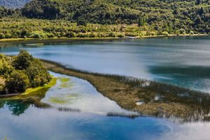 Actividad - Senderismo por el Parque Nacional Alerce Andino