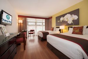 Alojamiento - Hotel Palma Real