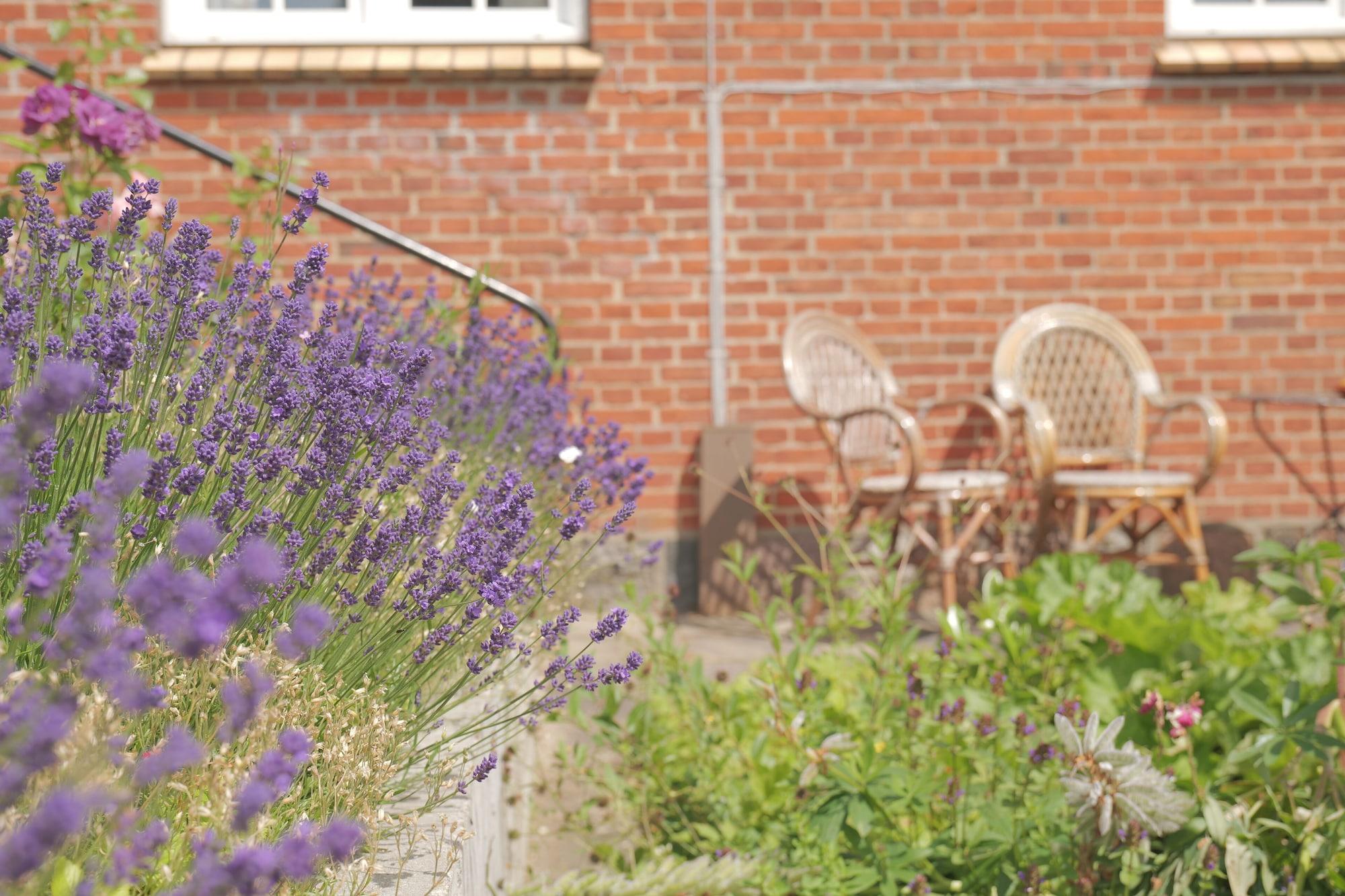 Equipamiento de Habitación Huset i Hejls