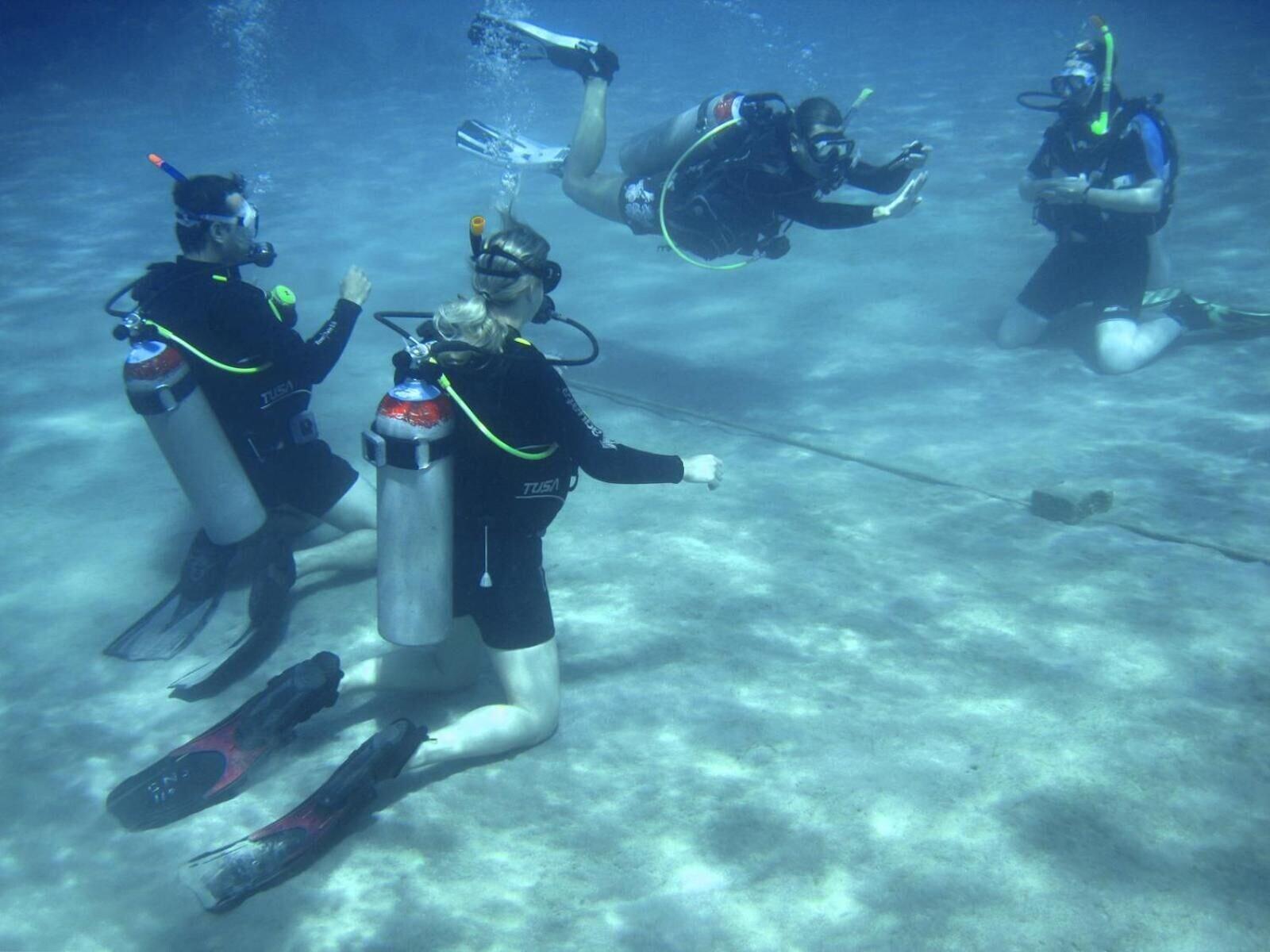 Gimnasio Oonas Dive Club