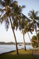 Alojamiento - Tamarind Village Apartments