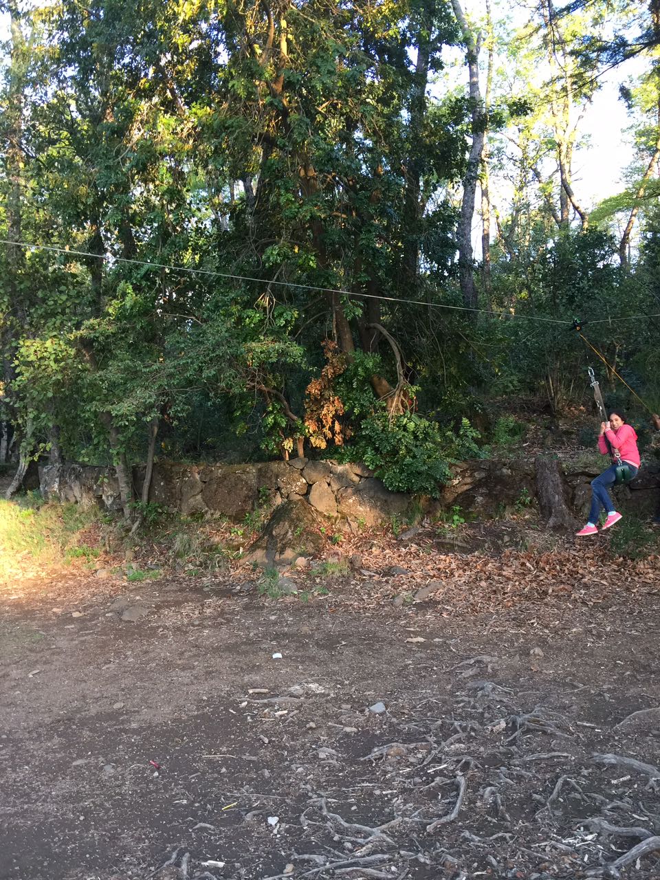 Instalaciones Recreativas Bosque Los Lleuques