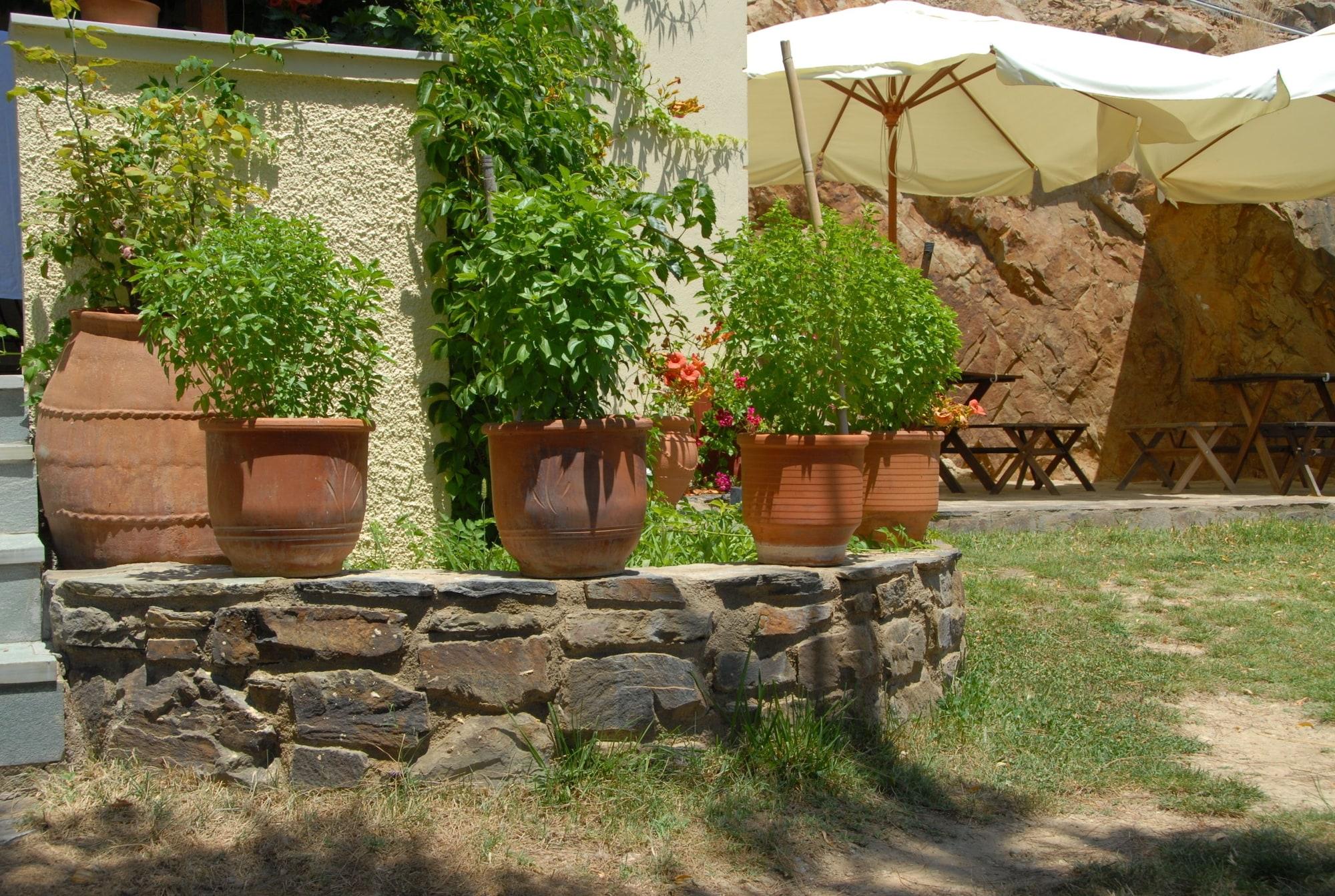 Comodidades del Alojamiento Zorbas Volissos Apartments Chios