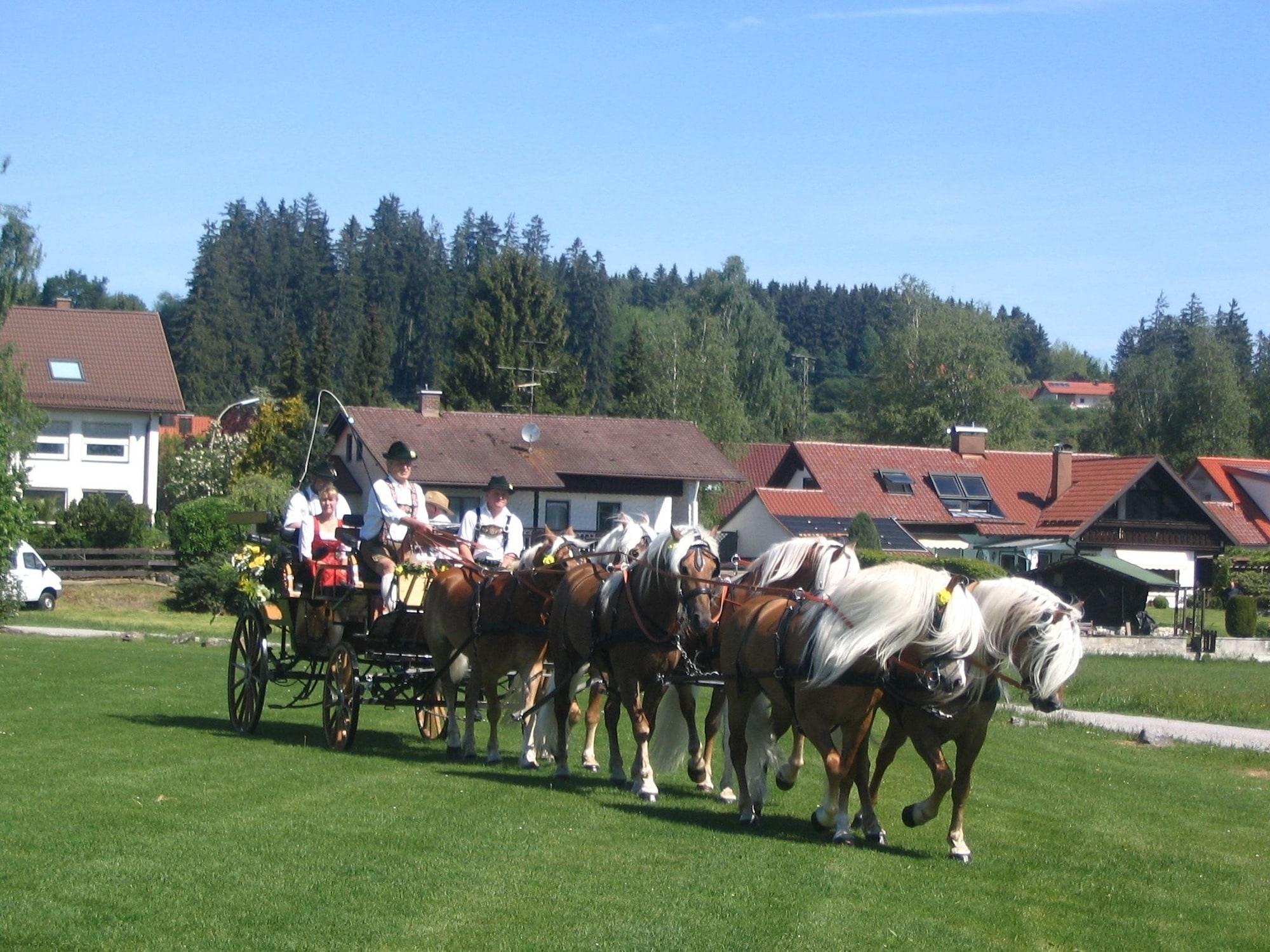Instalaciones Recreativas Landhotel Haflingerhof