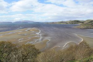 Alojamiento - Winterton