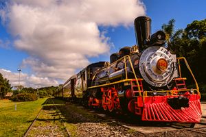 Actividad - Recorrido de la Uva y el Vino con el Tren de Maria Fumaça