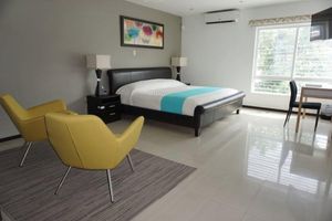Alojamiento - Casa MA ANTONIETA - Modern Residence in downtown Oaxaca