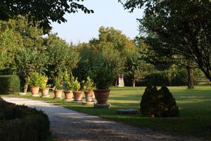 Alojamiento - B&B Cà Cinel Asolo