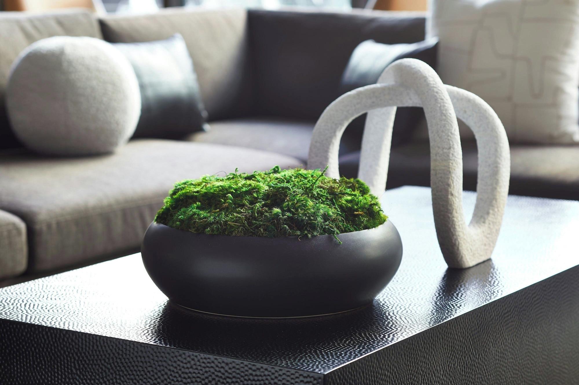 Vista Lobby AC Hotel By Marriott Sacramento