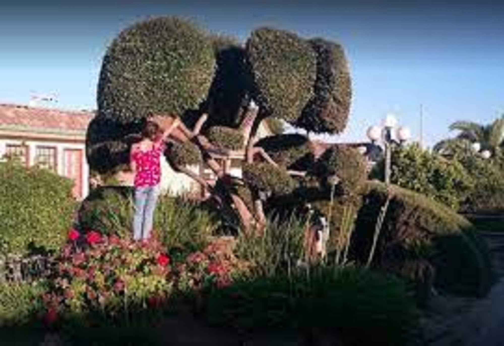 Comodidades del Alojamiento FairBridge Inn & Suites Merced/Gateway to Yosemite