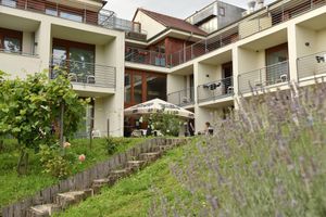 Alojamiento - Hotel Bonvino Wine & Spa